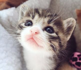 低空無人機測繪：高效、精確、廣泛應(yīng)用的新興技術(shù)