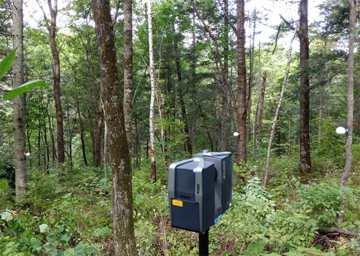 三維激光掃描儀在林業(yè)調(diào)查中的應用